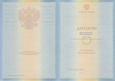 Диплом университета специалиста с 2009 по 2010