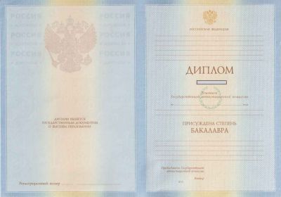 Диплом бакалавра 2009-2010