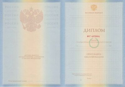 Диплом специалиста 2009-2010